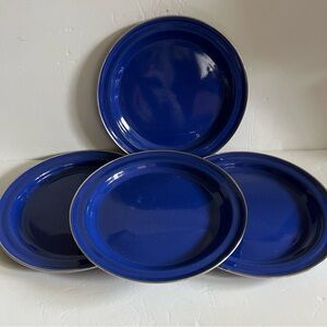 Enameled Blue Dinner Plate 10” Set of 4